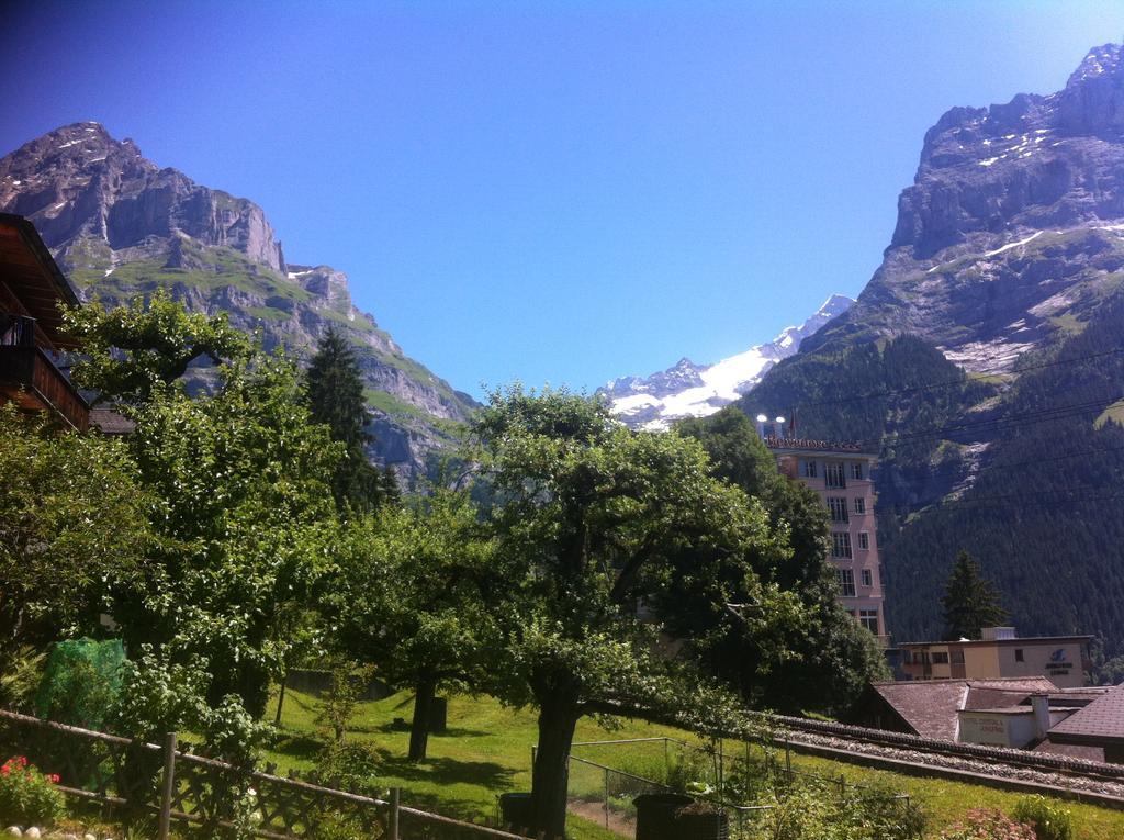 Ferienwohnung Alpengluehen جريندلوالد المظهر الخارجي الصورة